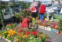 &quot;Esprit jardin&quot; un marché aux plantes au Chambon-sur-Lignon ce dimanche