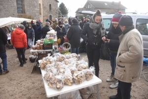 Saint-Bonnet-le-Froid : grosse poussée de champignons et de gourmandises ce week-end