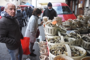 Saint-Bonnet-le-Froid : grosse poussée de champignons et de gourmandises ce week-end
