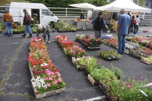 Chambon-sur-Lignon : les plantes occupent la place des Balayes ce dimanche