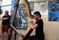 Lors du vernissage, des morceaux de Philipp Glass ont été interprétés par Anthony Castin à la harpe. Photo Lucien Soyere