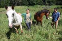 Le Chambon-sur-Lignon : ils achètent le Domaine de Gory pour proposer des activités de pleine nature