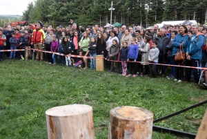 Tence : une forêt de visiteurs pour la 11e foire forestière