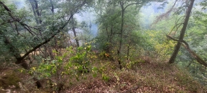 Un feu de végétation se déclare entre Chamalières-sur-Loire et Retournac