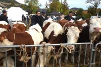Saint-Julien-du-Pinet se montre fier du monde agricole