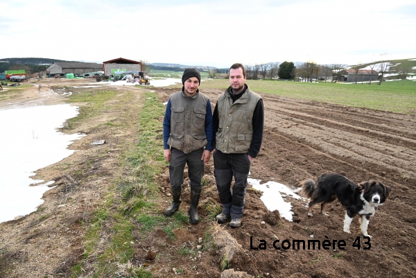 Florent Verot et Damien Romeyer devant le terrain où ils projettent de construire leur bâtiment|Les deux agriculteurs élèvent 110 vaches allaitantes à Monistrol et Sainte-Sigolène|||||