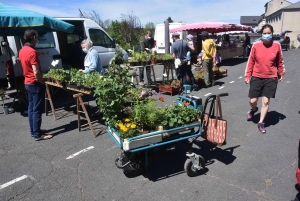 Le Chambon-sur-Lignon : un marché fleuri sur la place des Balayes ce dimanche