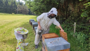 Nicolas Mahoudeau, apiculteur
