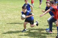 Pont-Salomon : 330 apprentis rugbymen sur le pré