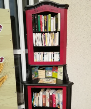 Une boîte à livres à Pont-Salomon