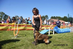 Yssingeaux : le Club Canin des Sucs prépare la saison 2020