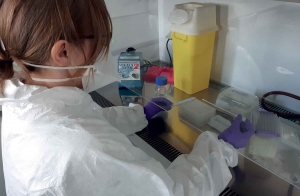 Dépistage Covid-19 : le laboratoire Terana au côté de l&#039;hôpital Émile-Roux pour réaliser les analyses PCR