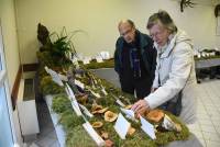 Saint-André-en-Vivarais : le champignon sous toutes ses formes ce week-end