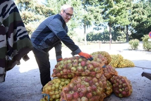 Bas-en-Basset fêtera la pomme le dimanche 16 octobre