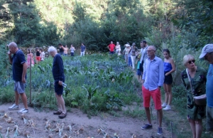 Blavozy : 25 jardiniers à la découverte du potager de Marcel