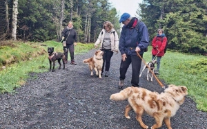 Les Estables : cinq chiens à la balade canine solidaire