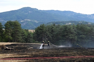 Retournac : 1 ha de végétation brûlé, plusieurs hectares menacés