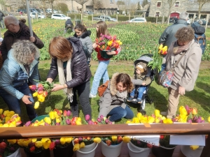 Moudeyres : les tulipes contre le cancer s&#039;envolent comme des petits pains