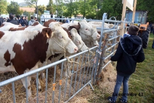 Saint-Julien-du-Pinet : de nouveau pas de foire agricole en 2021