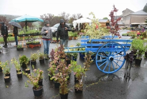 Chambon-sur-Lignon : une fête des plantes arrosée ce dimanche