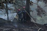 Grazac : un incendie suspect dans les gorges du Lignon
