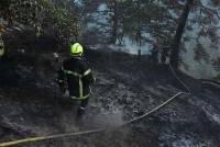 Grazac : un incendie suspect dans les gorges du Lignon