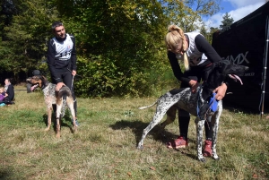Saint-Front : les meilleurs mushers se mesurent sur terre à « Chaudeyrac »