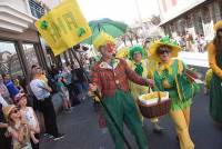 Le Chambon-sur-Lignon : un jaune flamboyant pour la Fête des jonquilles (photos et vidéo)