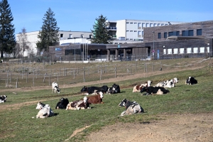 Yssingeaux : 17 hectares achetés pour le lycée agricole George-Sand