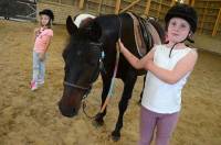 Une dizaine d&#039;enfants sur les poneys au centre équestre