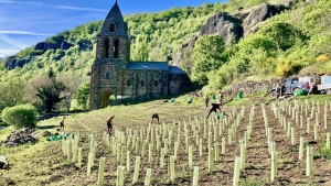 La Haute-Loire renoue avec son passé viticole