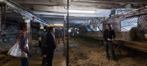 Le Chambon-sur-Lignon : visite d&#039;une ferme à Yssingeaux pour sept jeunes de Synergie 43