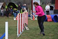 Yssingeaux : un concours canin d&#039;agility le dimanche 1er juillet