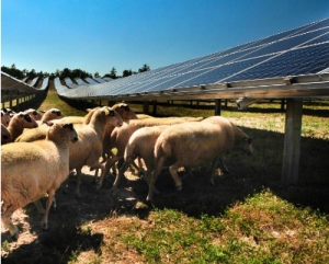 Saint-Front : une proposition de panneaux photovoltaïques sur 15-20 hectares