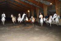 Saint-Agrève : Equitapassion fête le cheval les 3 et 4 juin