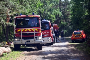 Un arbre tombe sur une ligne électrique : plus de 2 hectares brûlés à Beauzac
