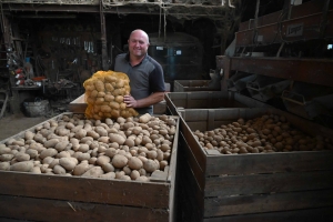 Craponne-sur-Arzon : 40 tonnes de pommes de terre à écouler dimanche sur la Fête de la Trifola