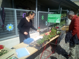 La Séauve-sur-Semène : une vente de plants de légumes et aromatiques bio pour l&#039;école publique