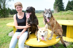 Saint-Pal-de-Mons : deux parcs et une professionnelle pour éduquer les chiens aux Murmures de la forêt
