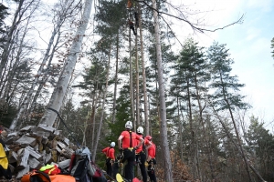 Retournac : un parapentiste se retrouve coincé à la cime d&#039;un arbre à 15 mètres du sol