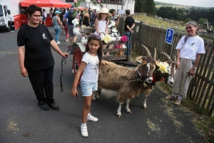 Saint-Front : la chèvre du Massif central attire tous les regards
