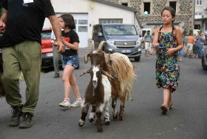 Saint-Front : la chèvre du Massif central attire tous les regards