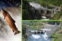 Nouveau Poutès : les travaux devraient être plus rapides que prévus sur le barrage