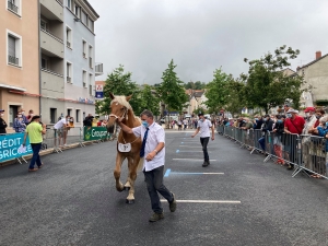 Yssingeaux : un concours de chevaux samedi avant la finale fin août