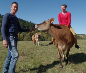 Tence : Vach&#039;mont bio transforme le lait de ses vaches jersiaises