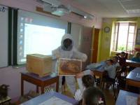 Lapte : une nuée d&#039;abeilles à l&#039;école Saint-Régis