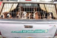 Saint-Julien-Chapteuil : Alexandre Devidal remporte le concours avec ses chiens de meute