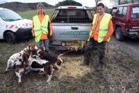 Saint-Julien-Chapteuil : Alexandre Devidal remporte le concours avec ses chiens de meute