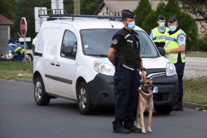 Une vaste opération des gendarmes au Pertuis pour cibler la délinquance et les stupéfiants