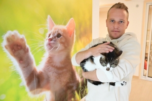 Polignac : il transforme un ancien corps de ferme en hôtel pour chats (vidéo)